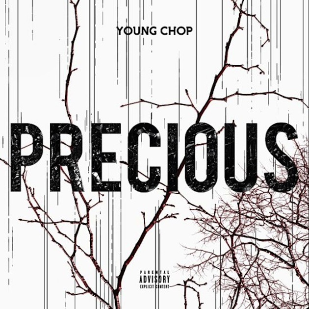 precious-cover