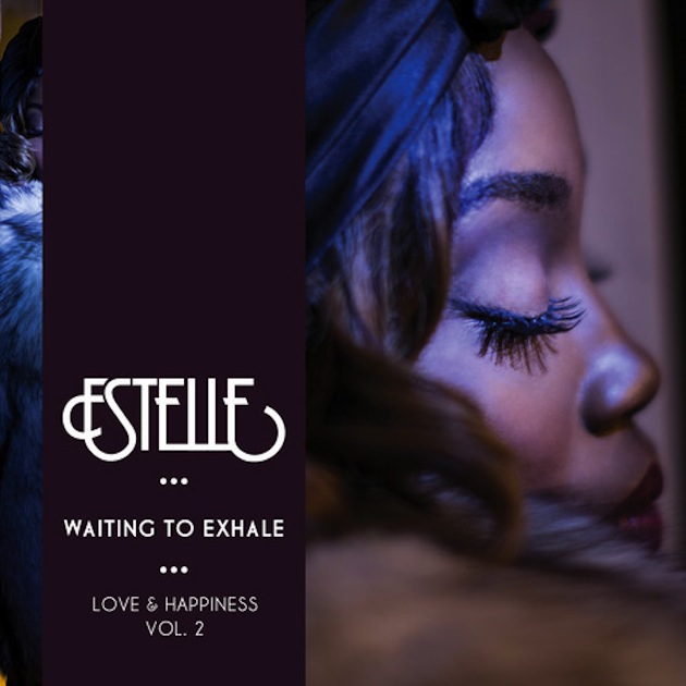 waiting-to-exhale-2-cover